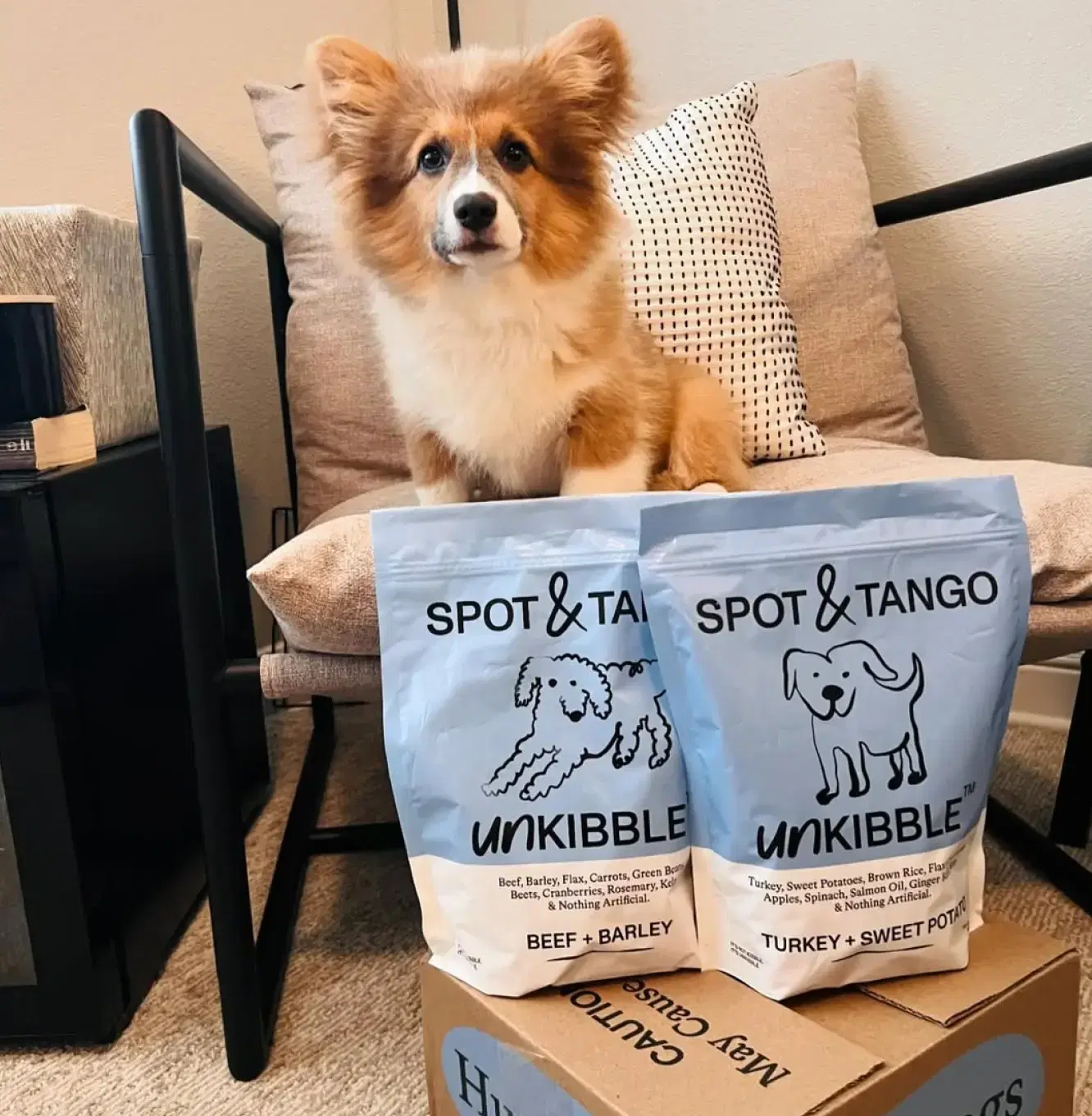 @_MISOTHEFLUFFYCORGI